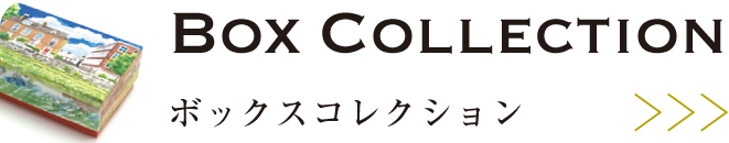 BOX COLLECTION